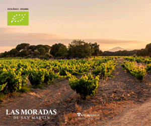 Las Moradas de San Martín